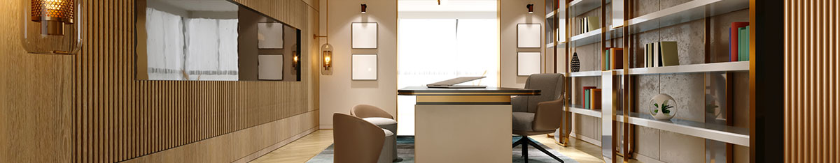 executive coaching- office